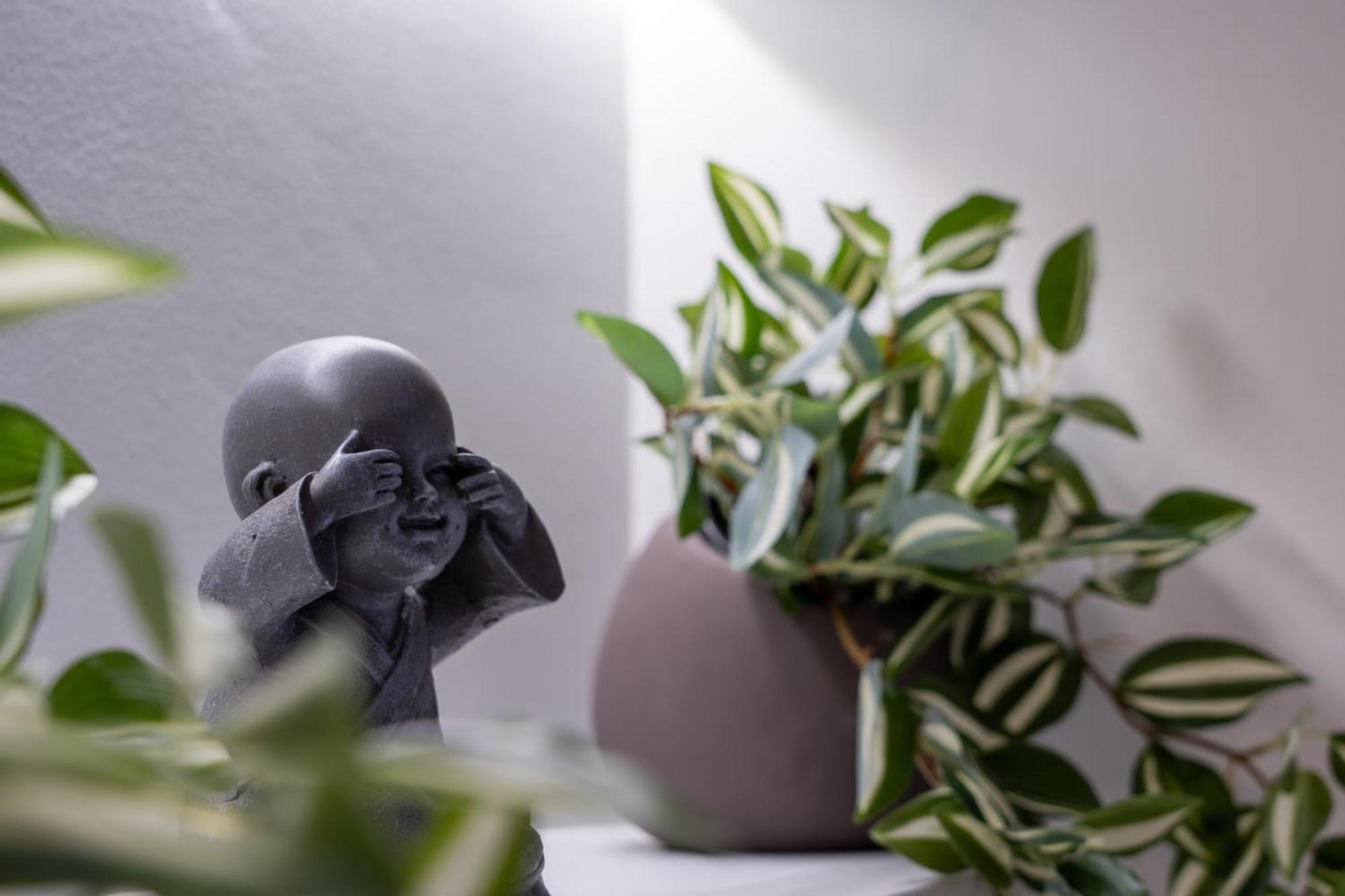 Naos Studio Soluň Exteriér fotografie